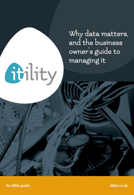 Why data matters, and the business owner’s guide to managing it